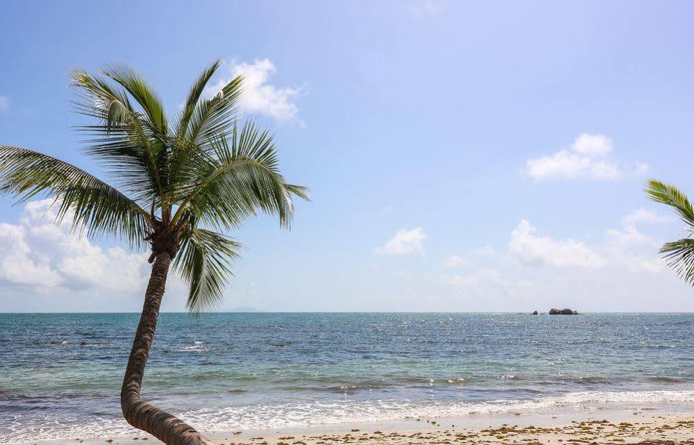 The Plaza Suites Humacao Extérieur photo